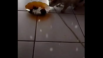 Anita, Si Perempuan Penggoda Yang Membuatku Tak Kuasa Menolak