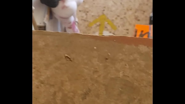 Goblok Tuh Cewek Pake Celana Ketat Kebuka Lebar Pas Lagi Nunduk, Bikin Sange